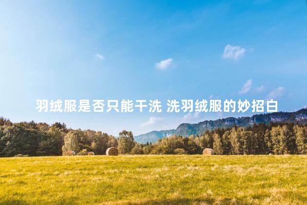 羽绒服是否只能干洗 洗羽绒服的妙招白醋